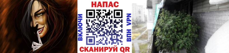 Цена Игра Псилоцибиновые грибы Бошки Шишки Меф мяу мяу ГАШИШ Альфа ПВП