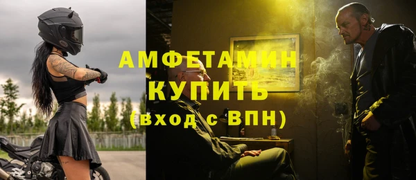 гидра Богородск