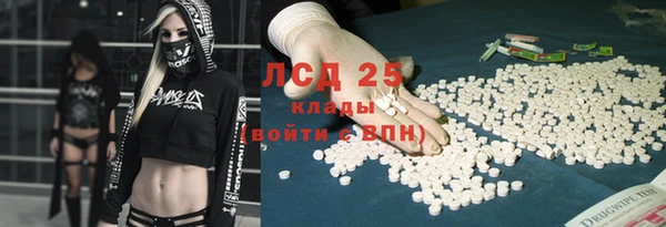 гидра Богородск