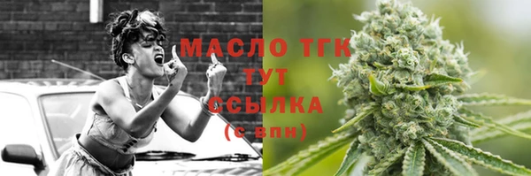 гидра Богородск