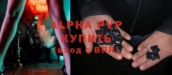 эйфоретик Богданович