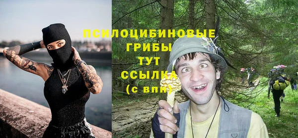 гидра Богородск