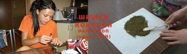 эйфоретик Богданович