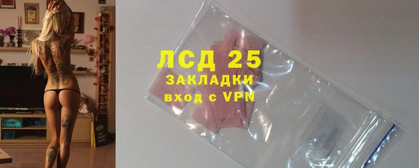 гидра Богородск