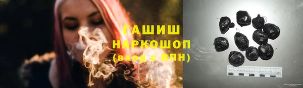 гидра Богородск