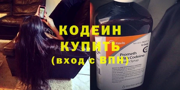 гидра Богородск