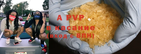 эйфоретик Богданович