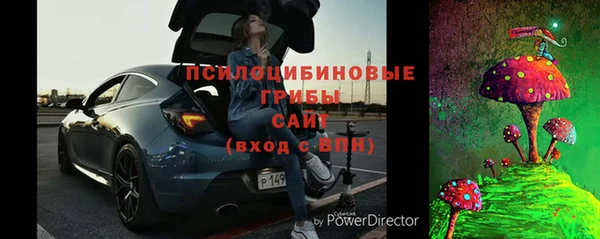 эйфоретик Богданович