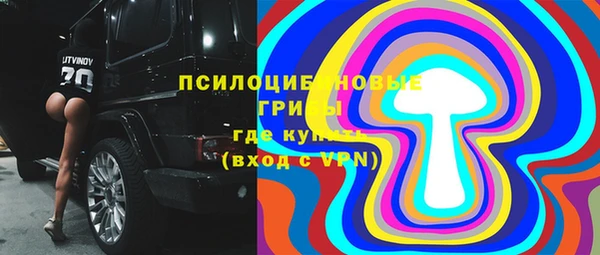 эйфоретик Богданович