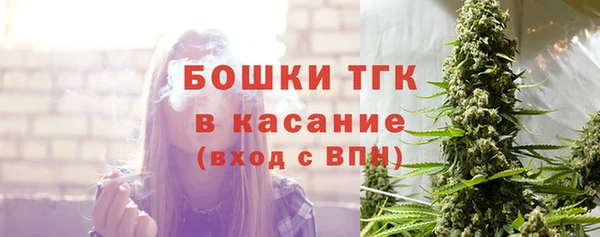 гидра Богородск