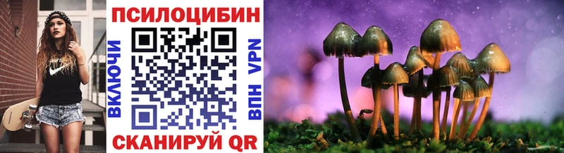 Псилоцибиновые грибы прущие грибы  даркнет телеграм  Игра  кракен онион 