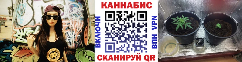 где купить наркоту  Игра  Шишки марихуана марихуана 
